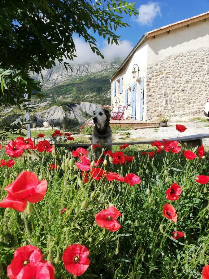 Gaïa, maison d'hôtes Verdon, vue féerique Blieux Exterior foto